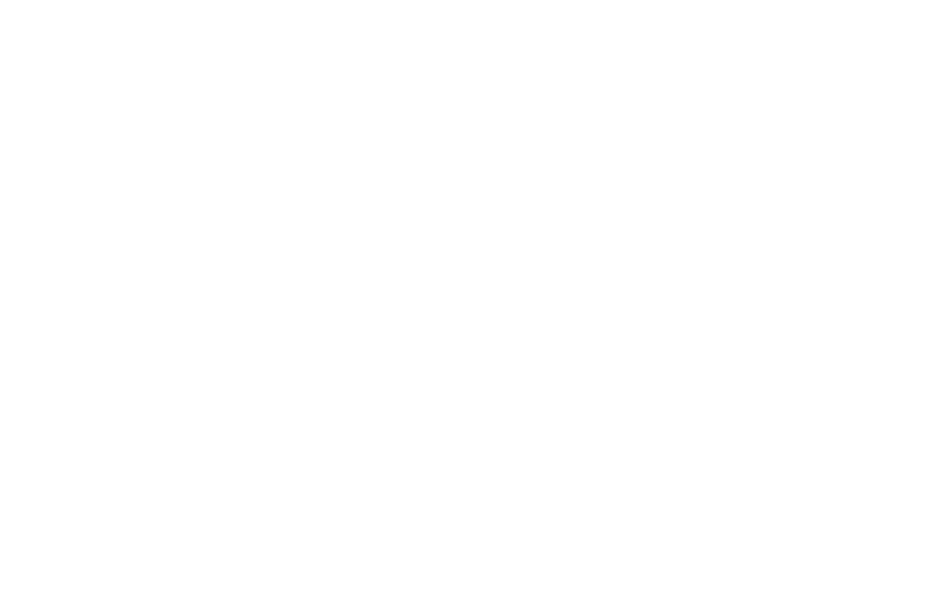 SRP Consulting, Bringing Global Strategy To Small Business